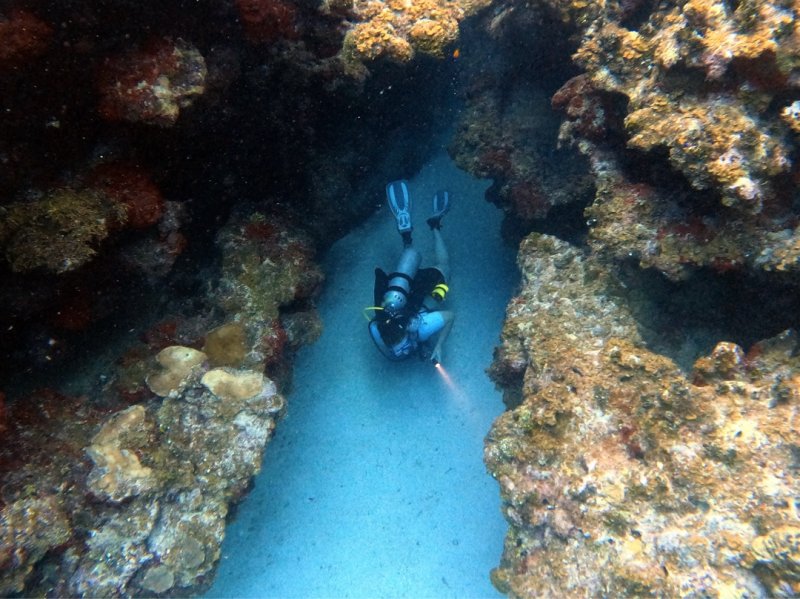 Divesite Image
