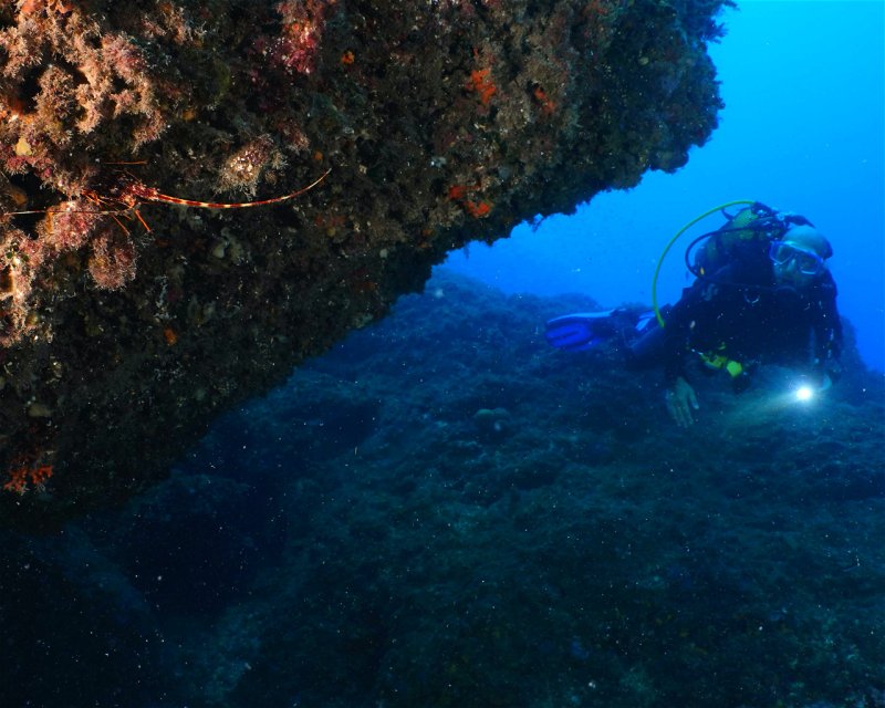Divesite Image