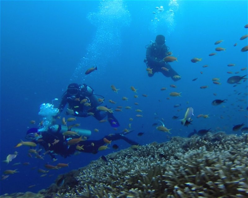 Divesite Image