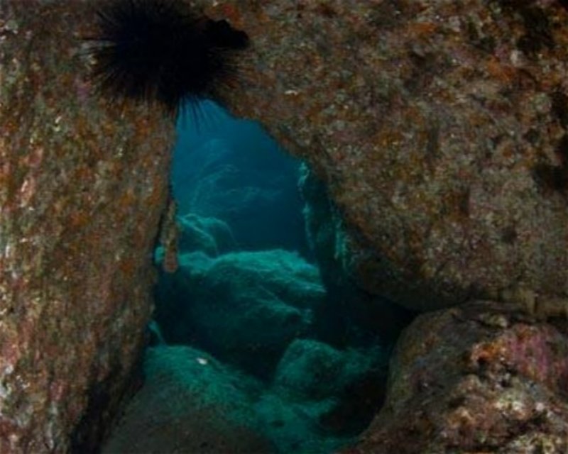 Divesite Image