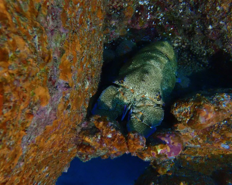 Divesite Image