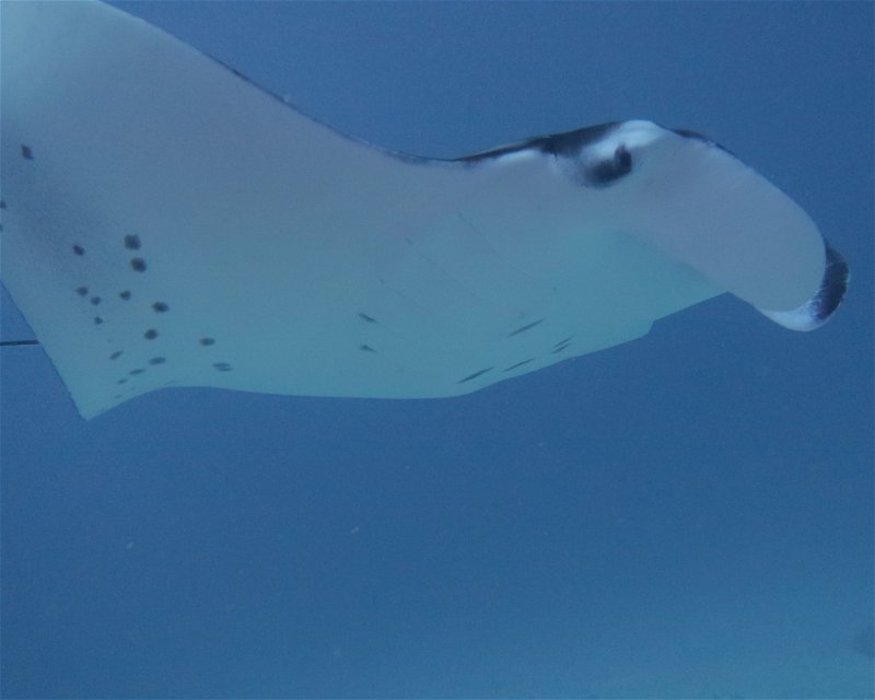 Divesite Image
