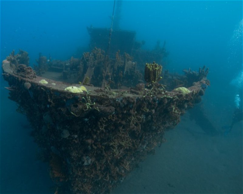 Divesite Image