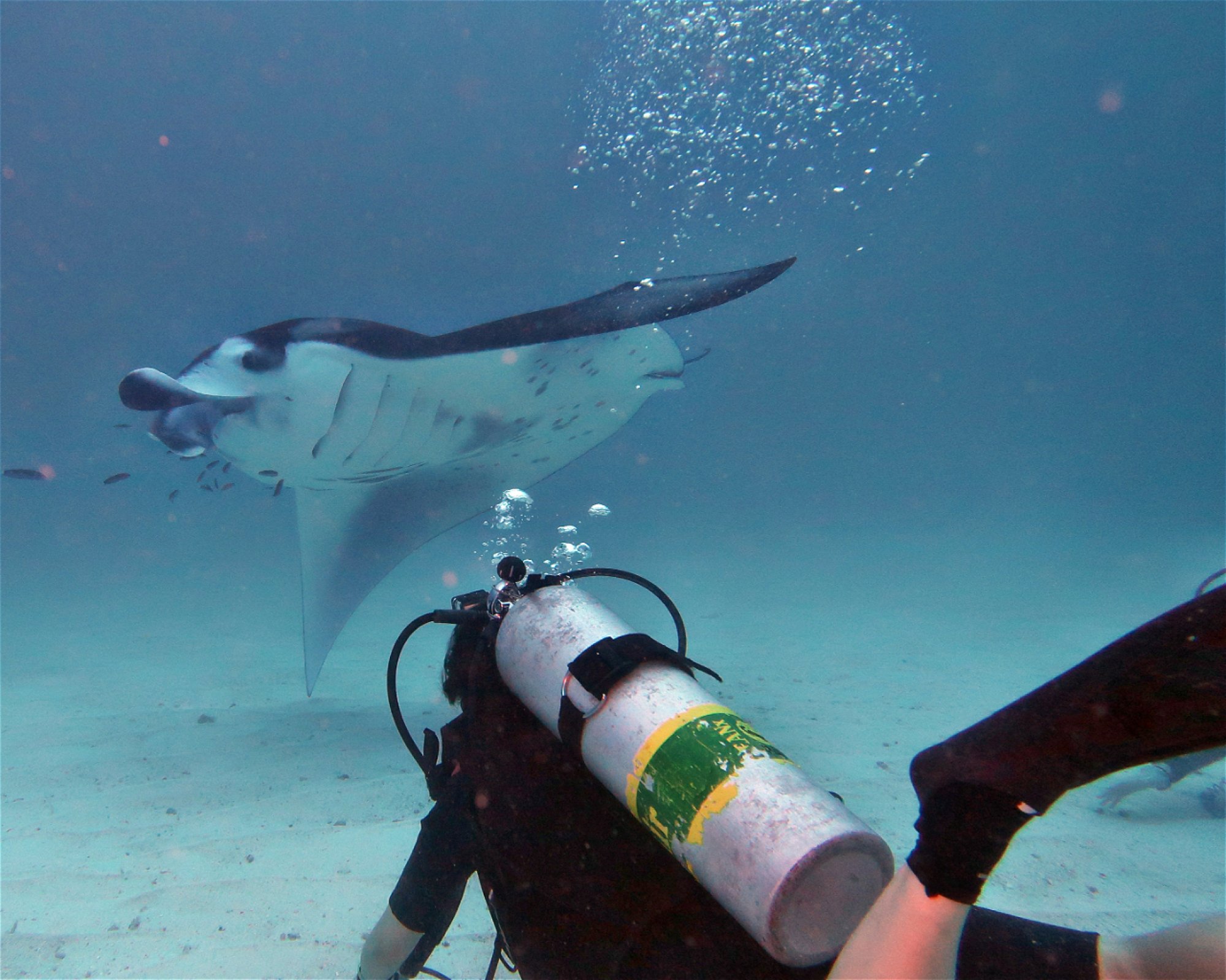 DivePoint Hudhuran Fushi, 20193 Male