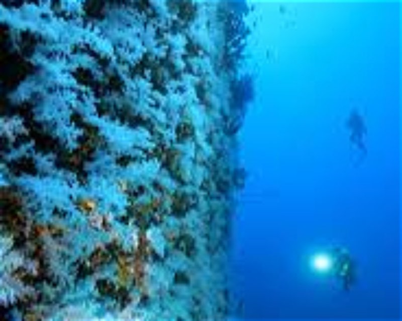Divesite Image
