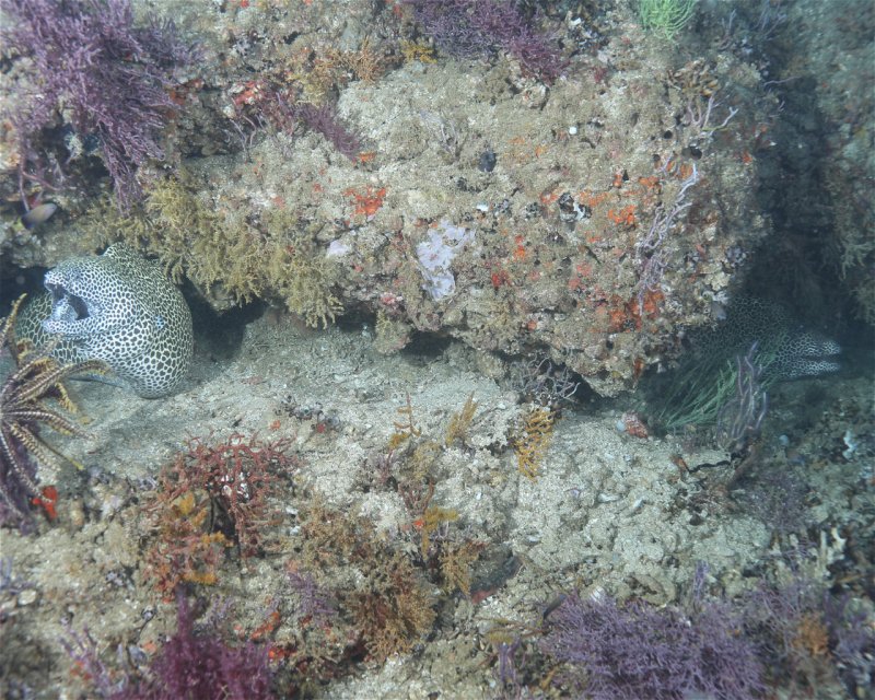 Divesite Image