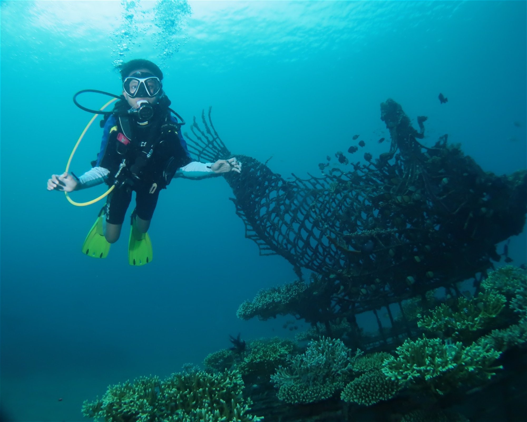 SSI Service Center Indonesia, 80227 Sanur - Bali