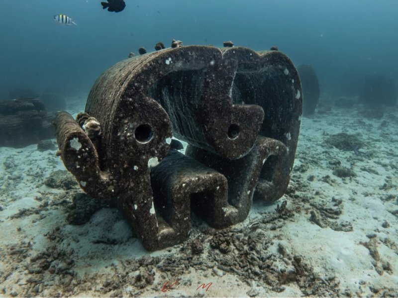 Divesite Image