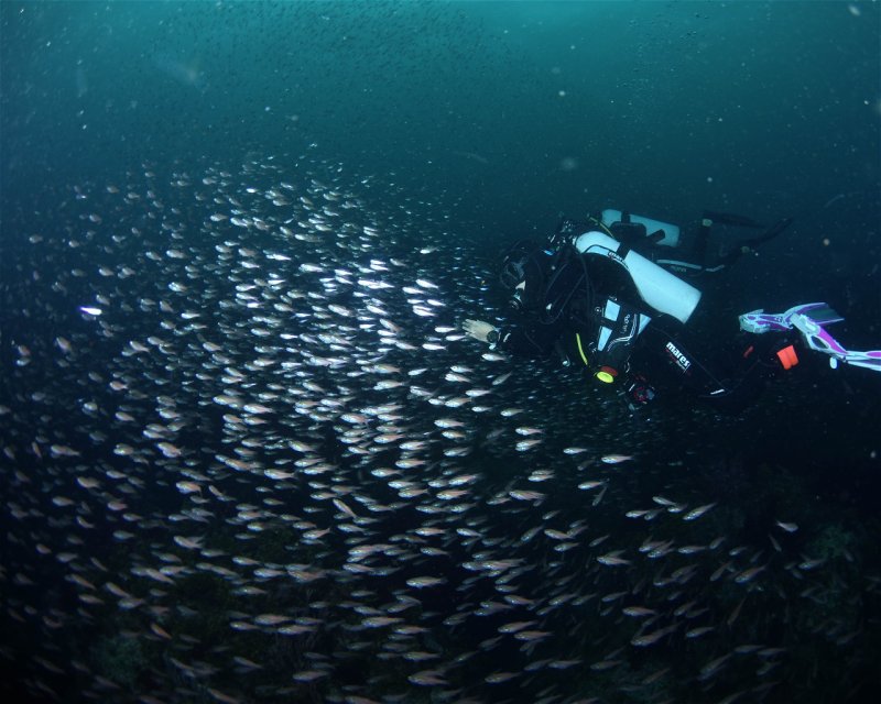Divesite Image