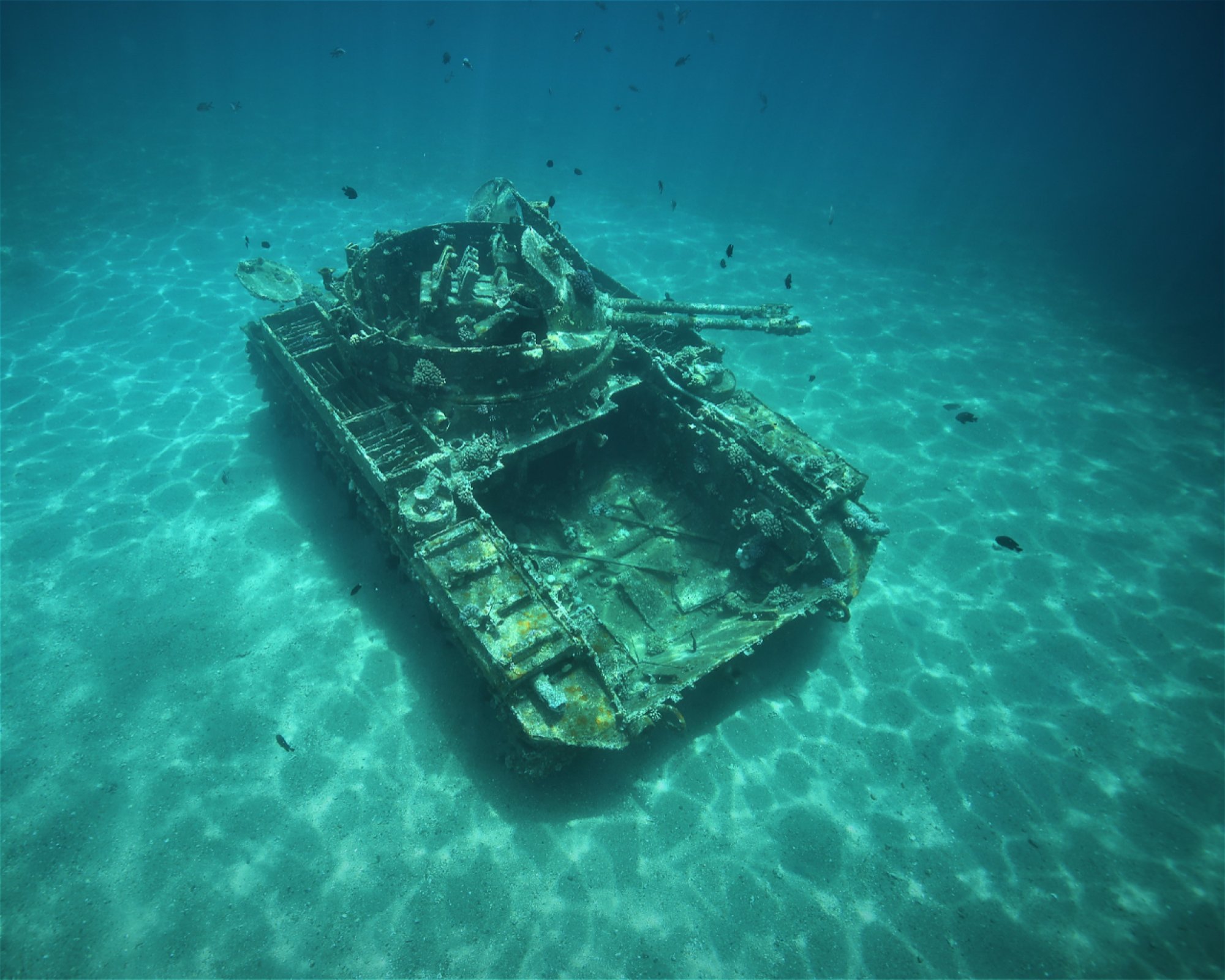 Sinai Divers Aqaba, 77110 Aqaba