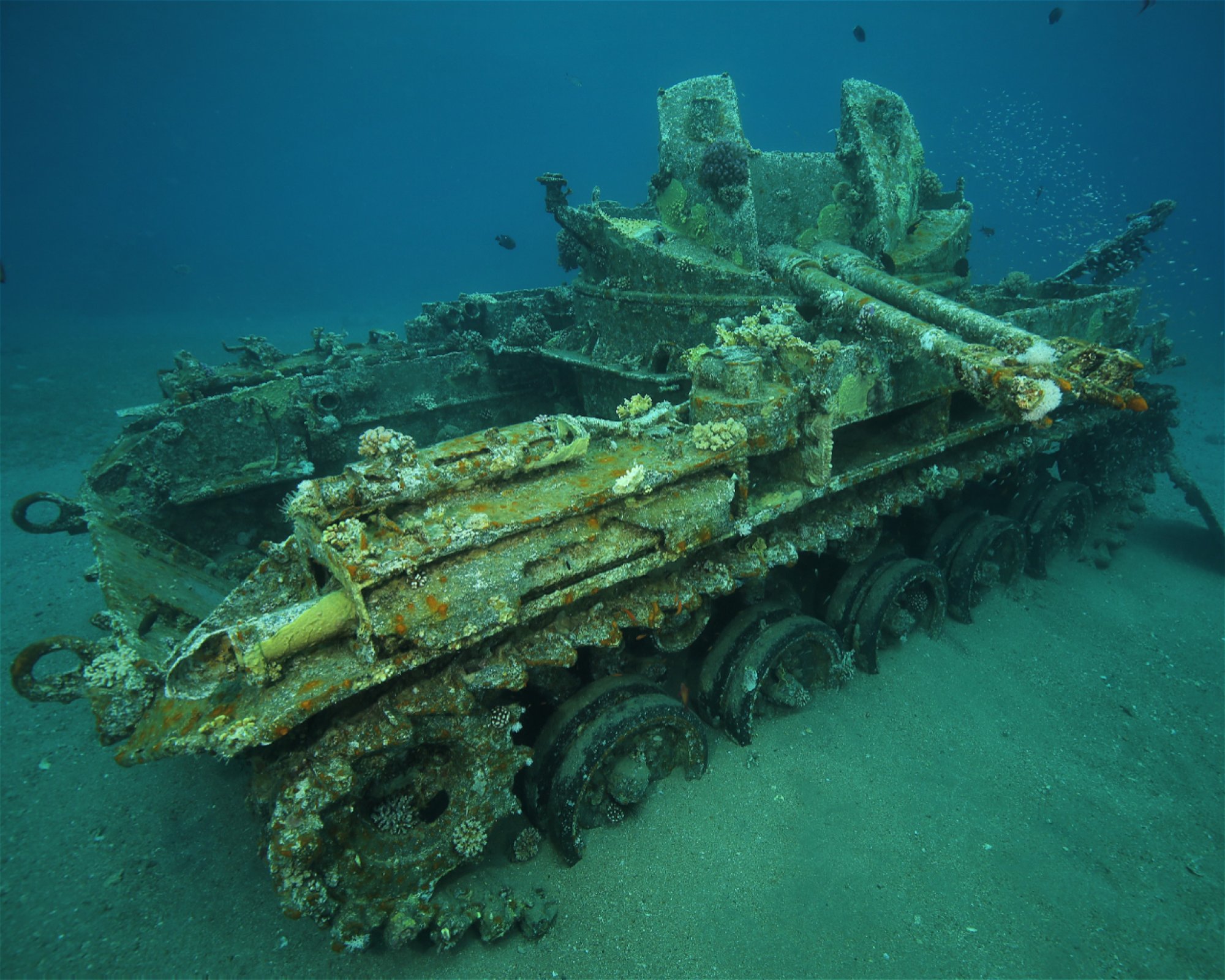 Sinai Divers Aqaba, 77110 Aqaba
