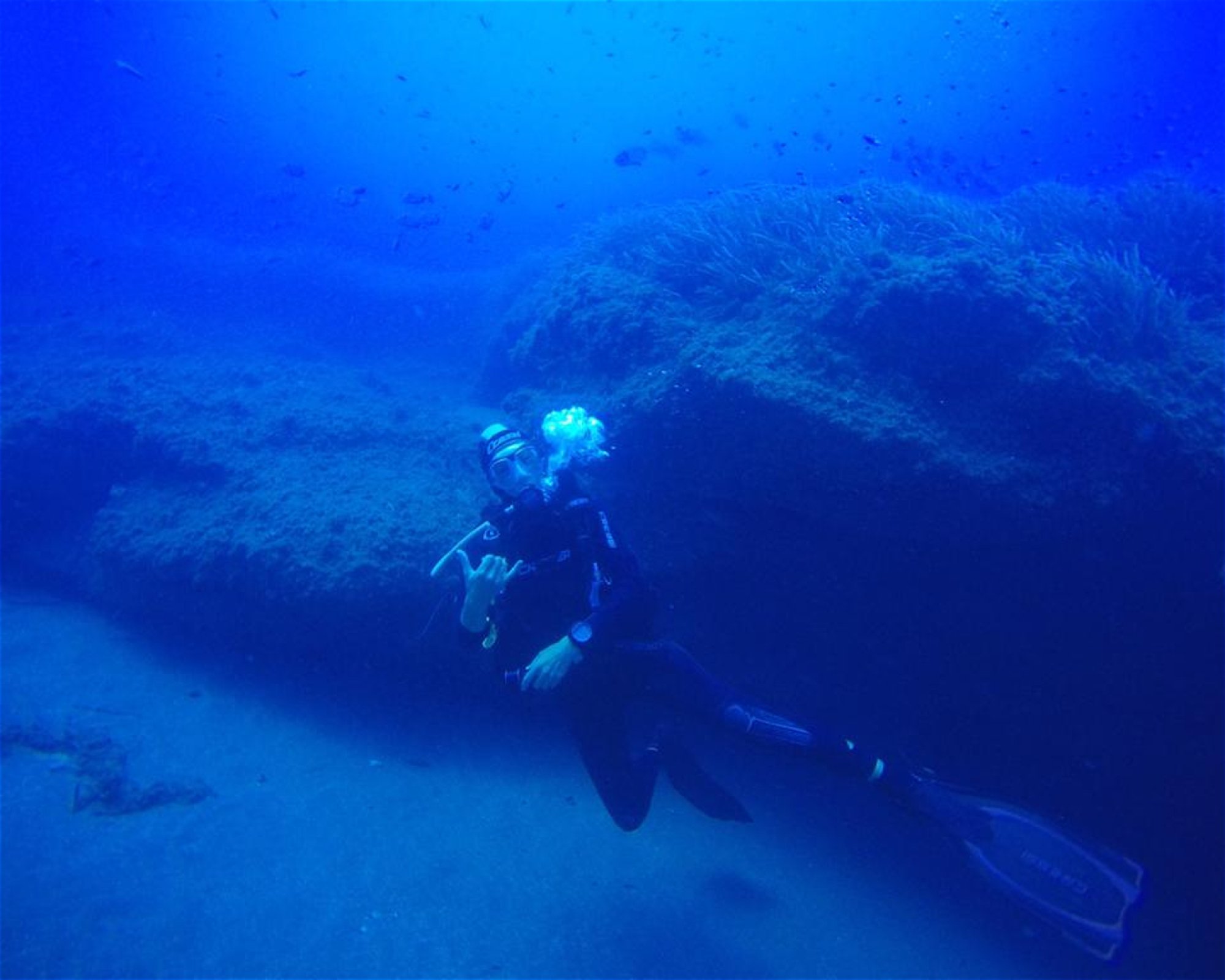 Centro de Buceo Branquias, 04140 Carboneras, Almería