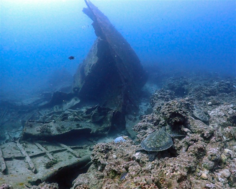 Divesite Image