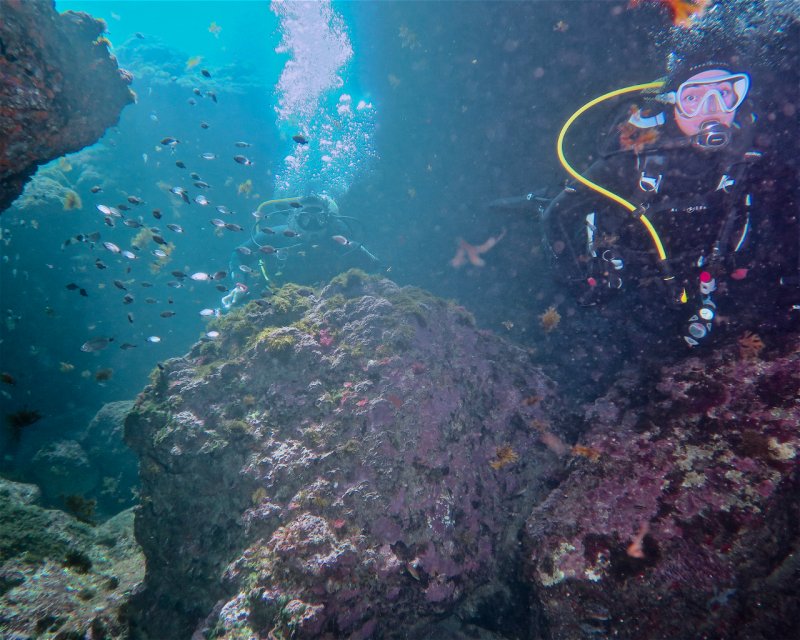 Divesite Image