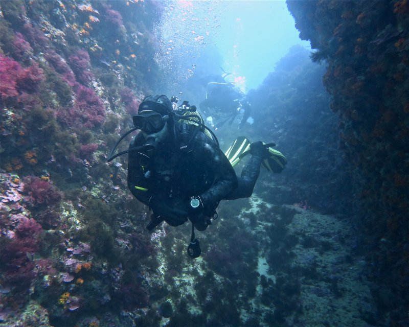 Divesite Image