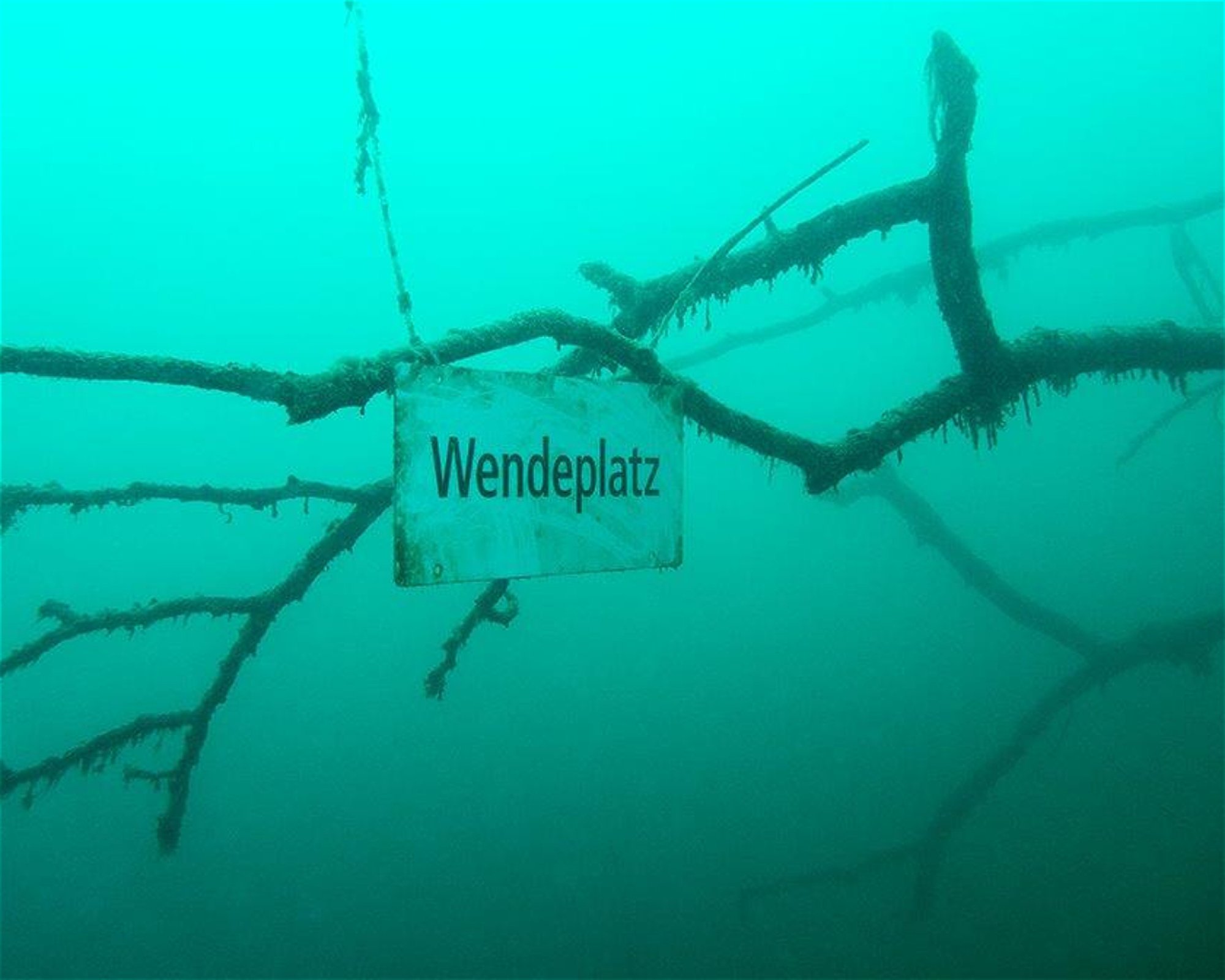 Dive Center Thunersee, 3652 Hilterfingen
