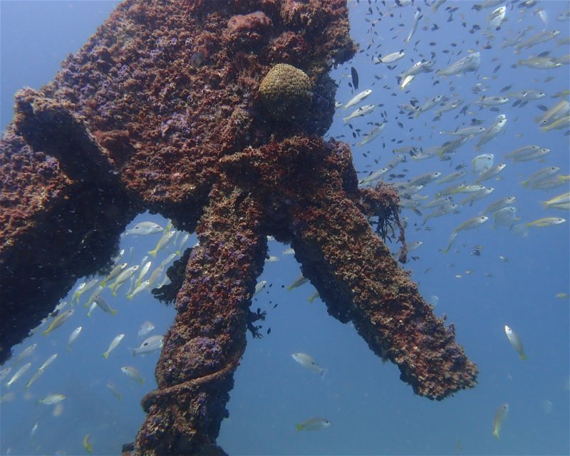 Divesite Image