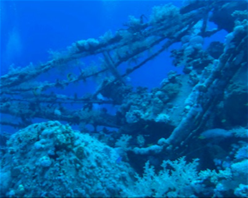 Divesite Image