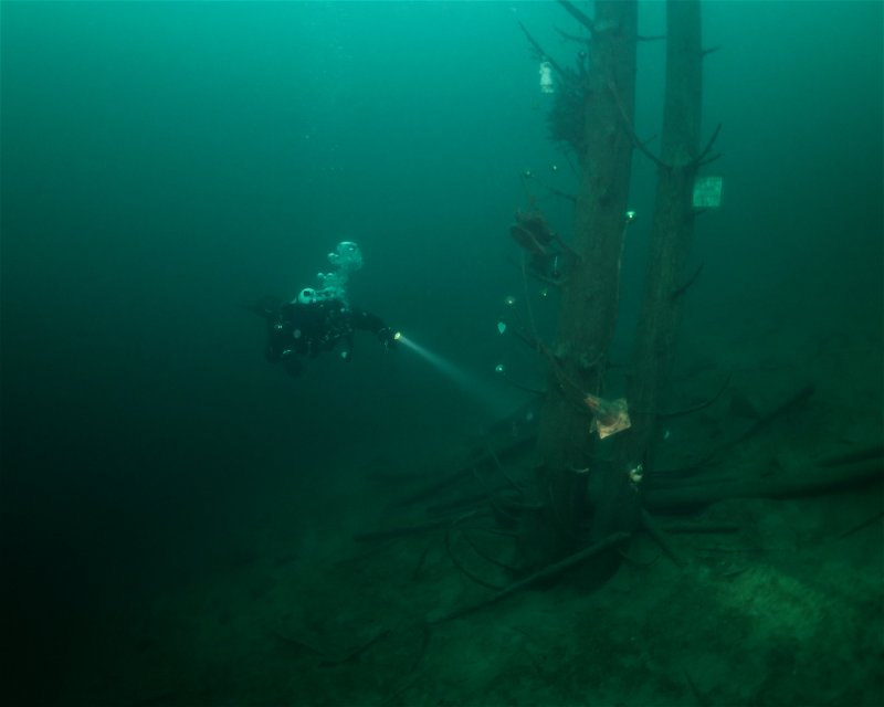 Divesite Image
