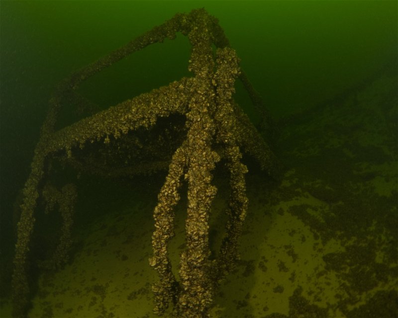 Divesite Image