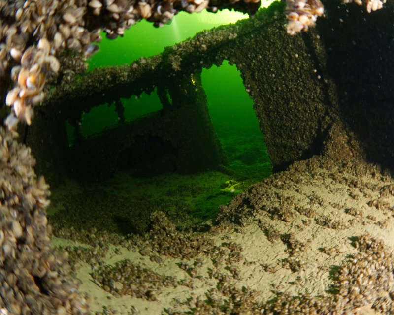 Divesite Image