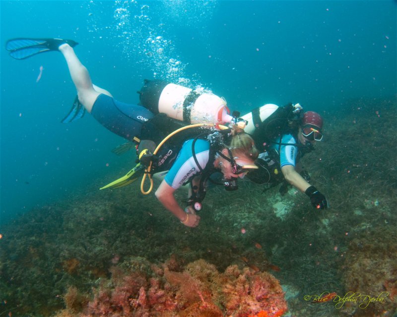 Divesite Image