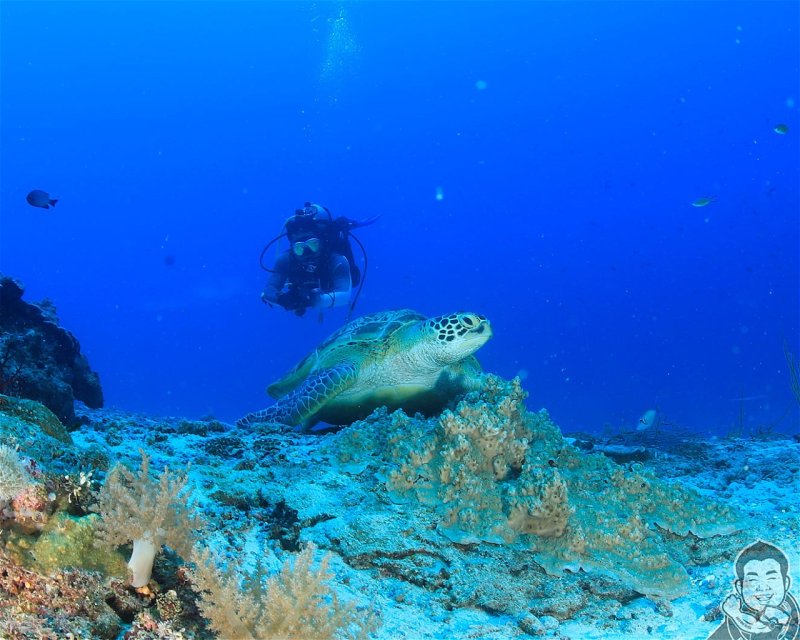 Divesite Image