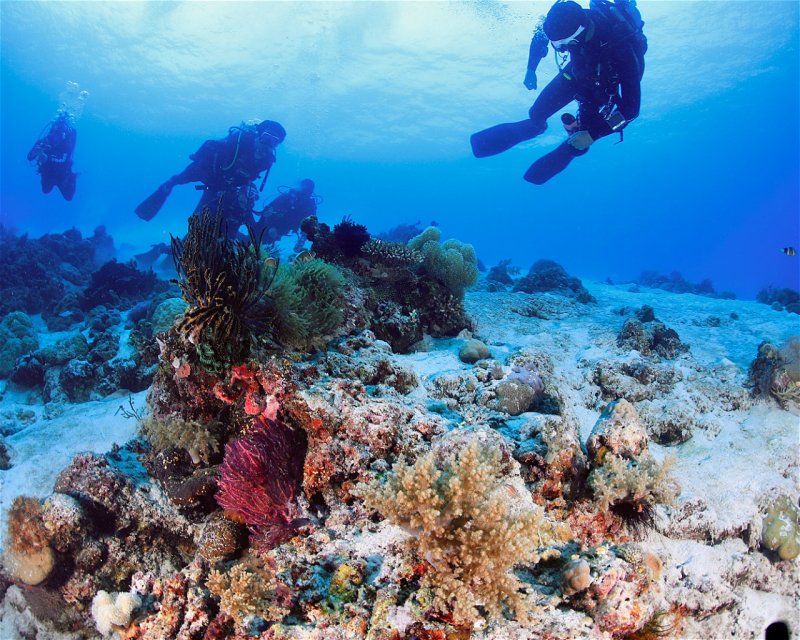 Divesite Image