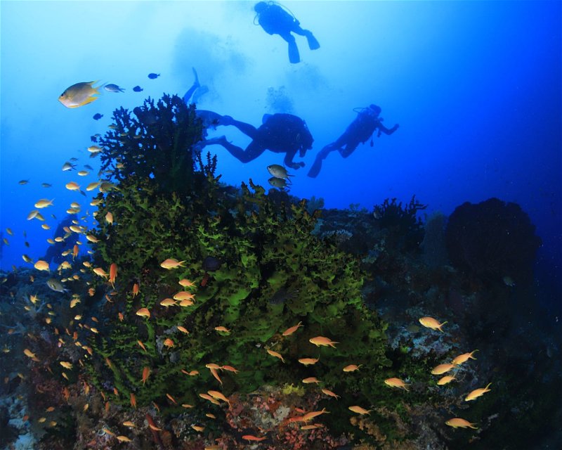 Divesite Image