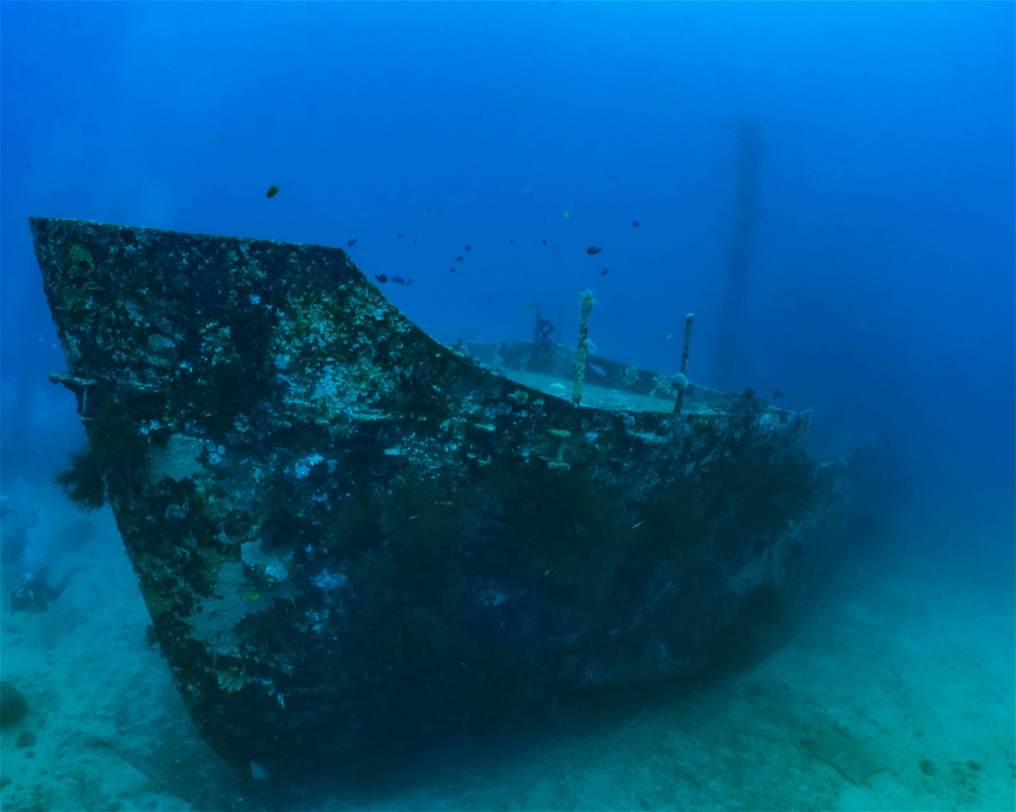 DiveGurus Diving Services Corp., 5608 Manoc Manoc