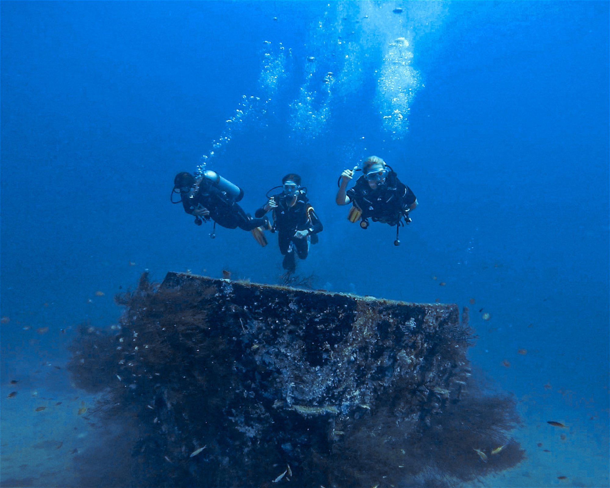 DiveGurus Diving Services Corp., 5608 Malay