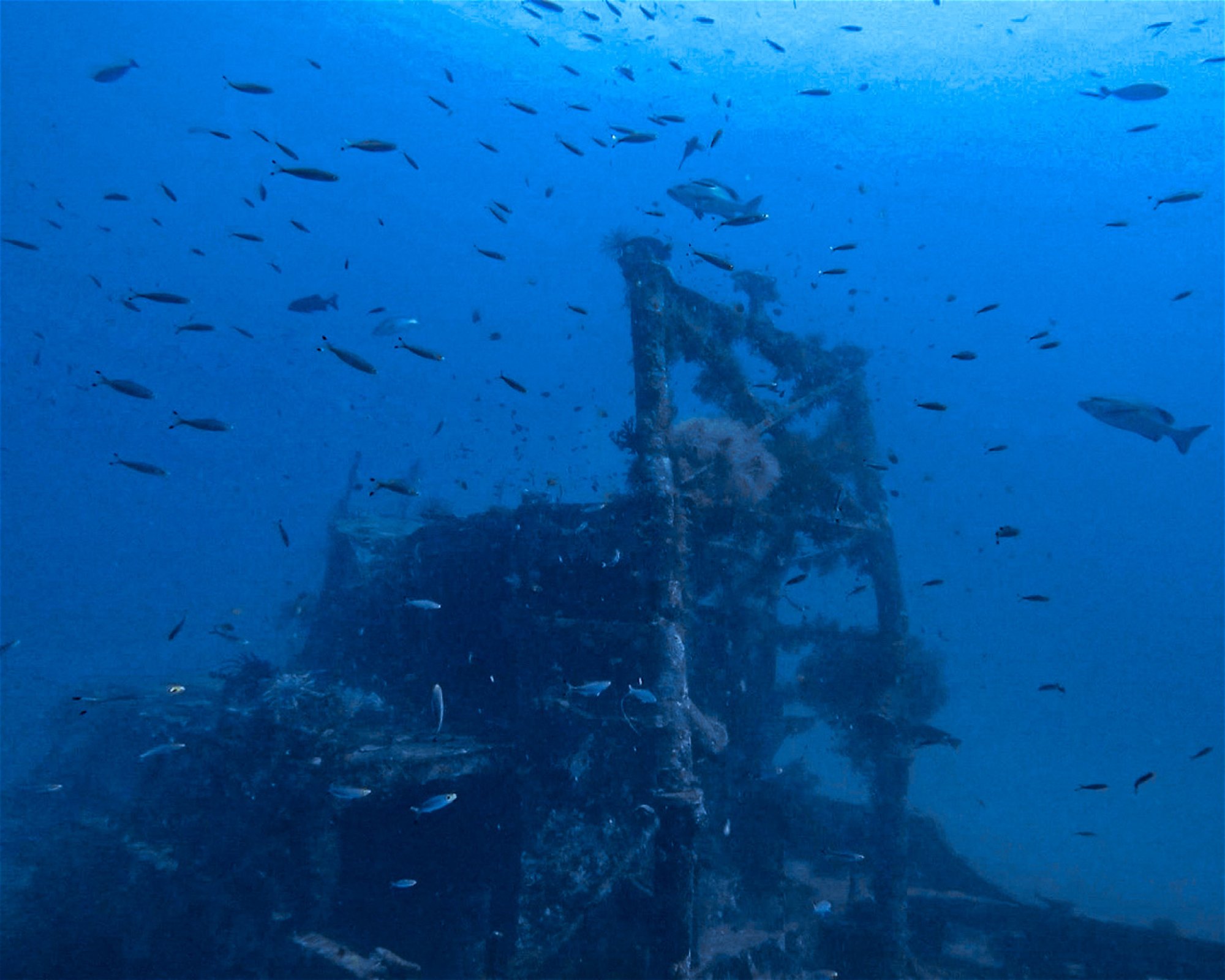 DiveGurus Diving Services Corp., 5608 Malay