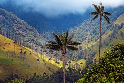 Colombia