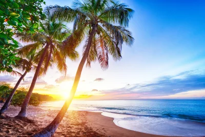 Guadelupe
