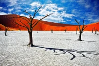 Намібійський