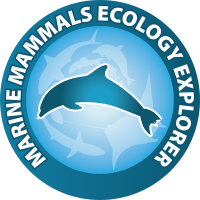 Specialty Rating Badge for Marine Mammals Explorer