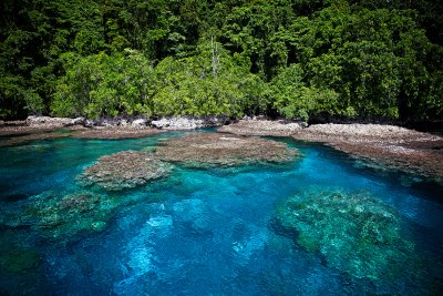 Solomon Islands Scuba Diving: Explore the Pacific’s Hidden Gem