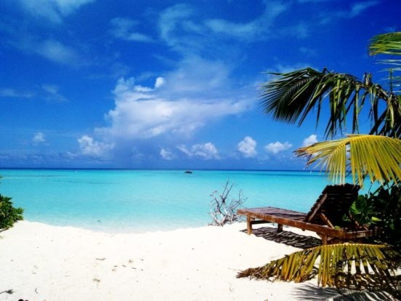 Maldives - the leading choice of (scuba)travellers - (c) perly22, Archiv Taucher.Net