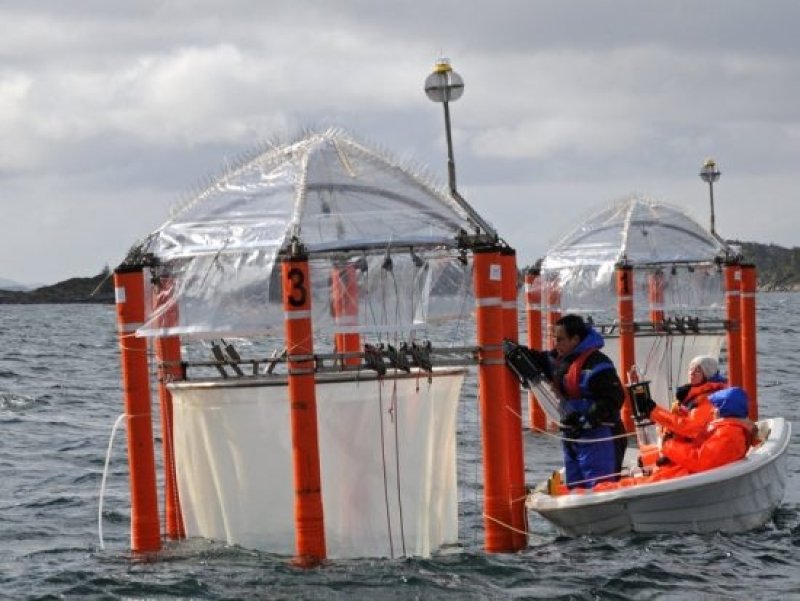 Researchers taking a water sample from a mesocosm. (c) Maike Nikolai