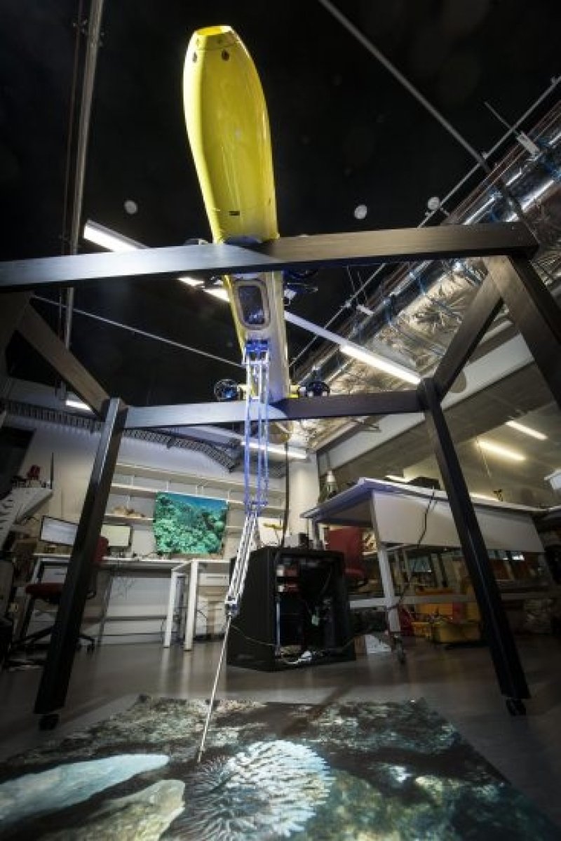 COTSbot fighting crown-of-thorns starfish (c) QUT Media