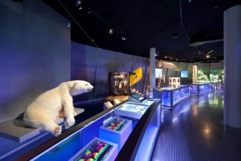 In the exhibition, the Ozeaneum will showcase exciting exhibits of marine research and exploration. (c) John Mary Schlorke