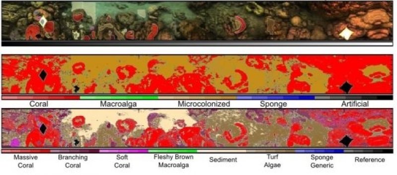 The result of the analysis is a map of the reef. (c) Dr Arjun Chennu, Max Planck Institute for Marine Microbiology
