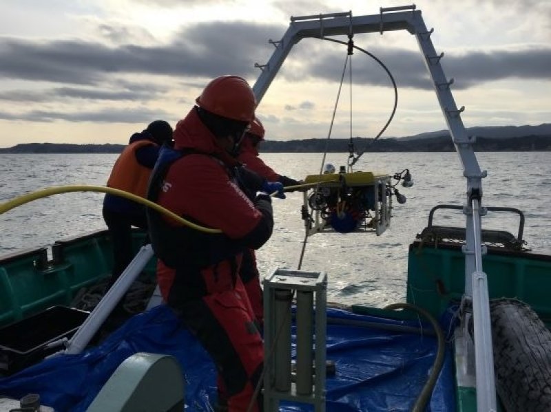 Greenpeace nuclear expert Jan van de Putte