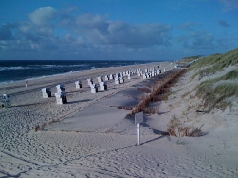 The North Sea island of Sylt. A few kilometres west lies Sylt Outer Reef, a nursery for porpoises. (c) Olaf Klodt