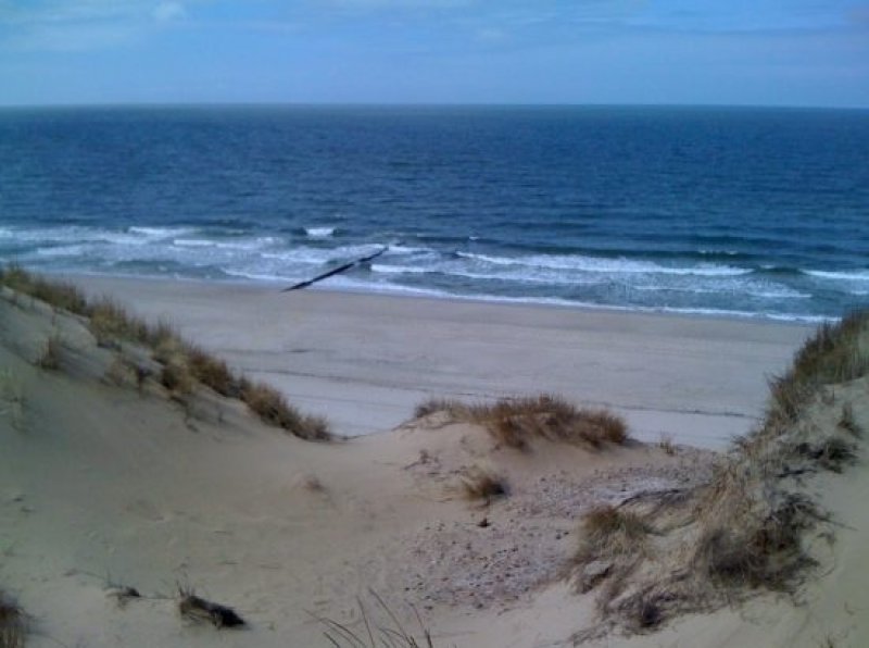 The North Sea island of Sylt. A few kilometres west lies Sylt Outer Reef, a nursery for porpoises. (c) Olaf Klodt