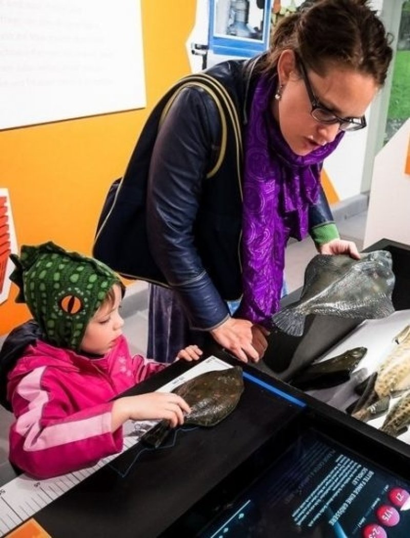 The fish length game from the Cluster of Excellence "The Future Ocean". (c) Ilja Hendel / Science in Dialogue