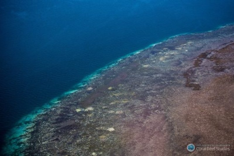 Aerial survey of the 2016 Great Barrier Reef bleaching event (c) Coral CoE
