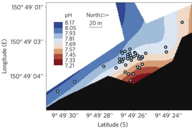 Map of the research area with sampling locations and pH gradient. Graphic taken from Fabricius, K. E. et al .: Losers and winners in coral reefs acclimatized to elevated carbon dioxide concentrations. Nat. Clim. Chang. 1, 165-169 (2011).