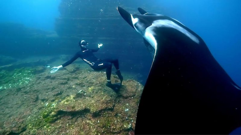 (c) behind-the-mask.com