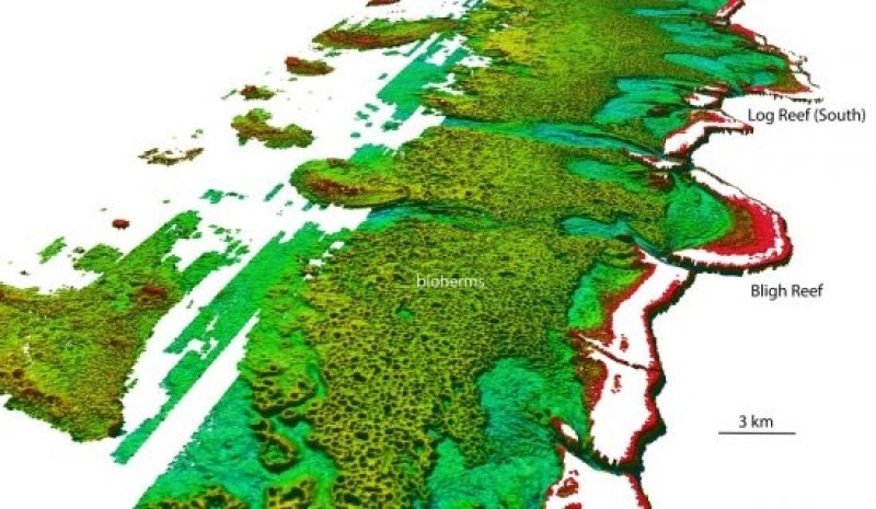 North-westerly view of the Bligh Reef area off Cape York. Depths are coloured red (shallow) to blue (deep), over a depth range of about 50 metres. (c) www.deepreef.org (Bathymetry data © Australian Hydrographic Service)